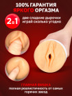 Двухсторонний мастурбатор ФлешНаш Элли Брилсен 2.0, 22х8 см