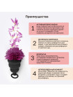 Менструальная чаша с защитой от протечек GCup, 5 мл
