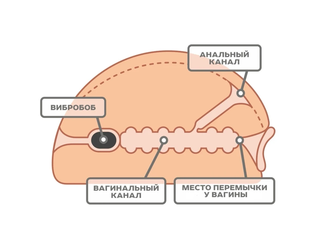 Вагина с вибро 667421